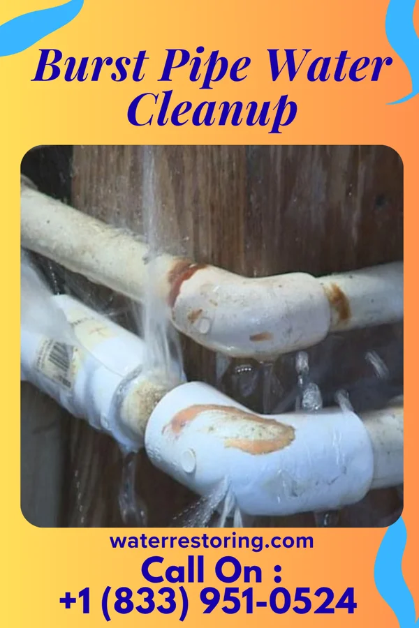 Burst Pipe Water Cleanup in Maitland, PA
