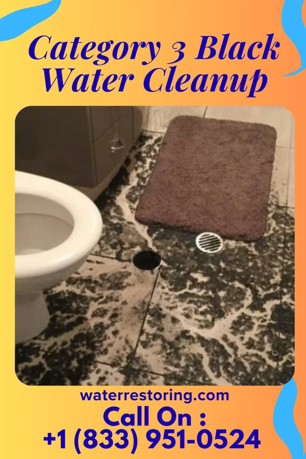 Category 3 Black Water Cleanup in Maitland, PA