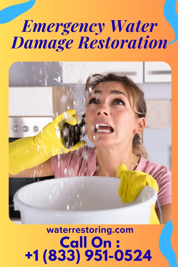 Emergency Water Damage Restoration in Maitland, PA