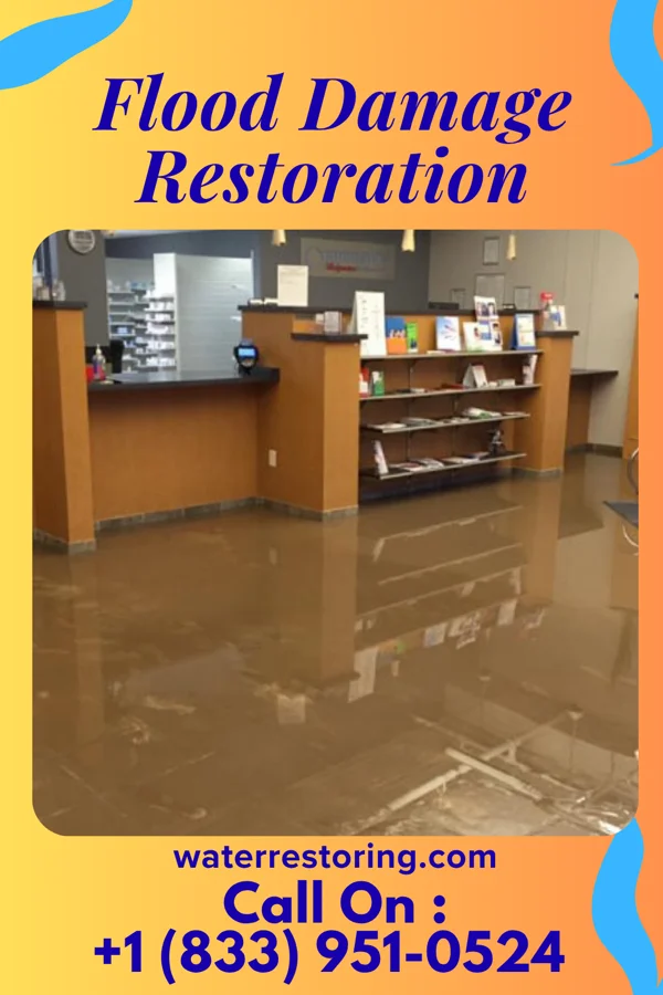 Flood Damage Restoration in Maitland, PA