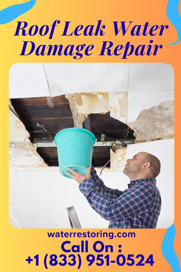 Roof Leak Water Damage Repair in Maitland, PA