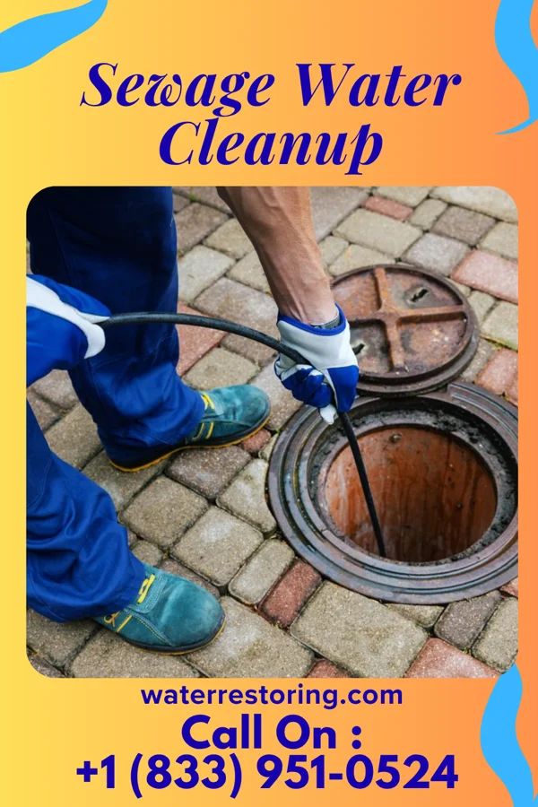 Sewage Water Cleanup in Maitland, PA